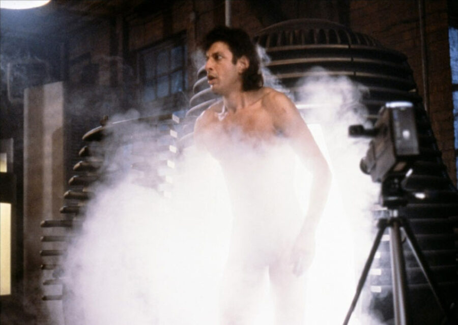 Afficher l'image la-mouche-02