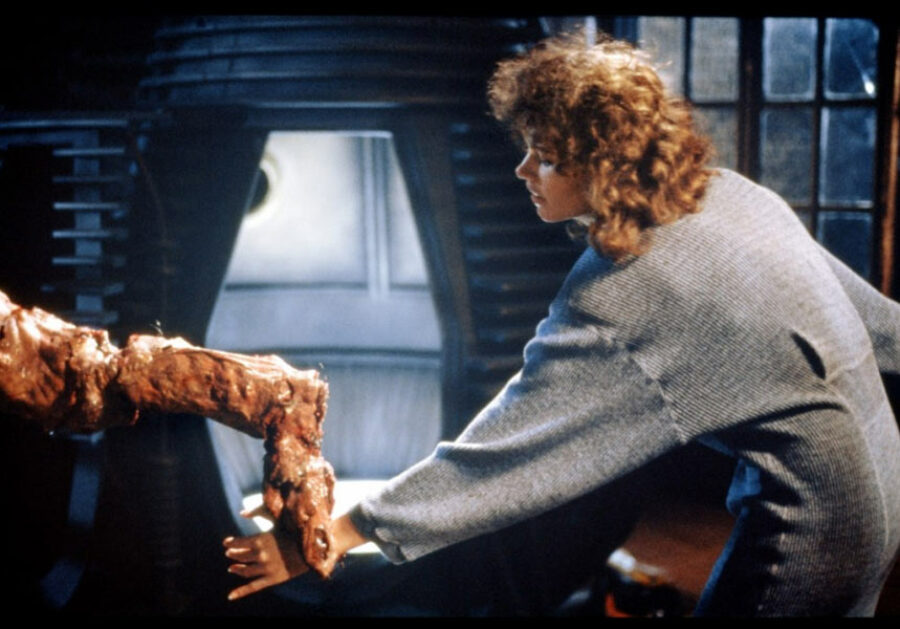 Afficher l'image la-mouche-06