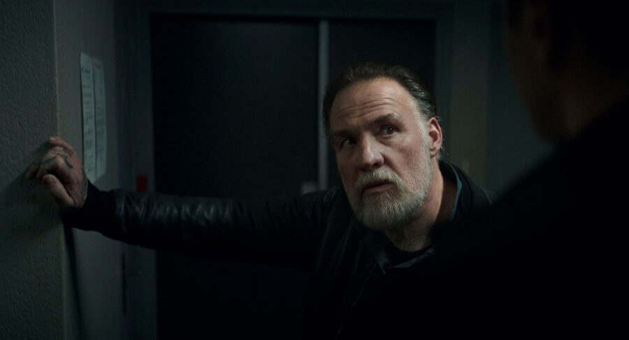 Afficher l'image Bouli Lanners