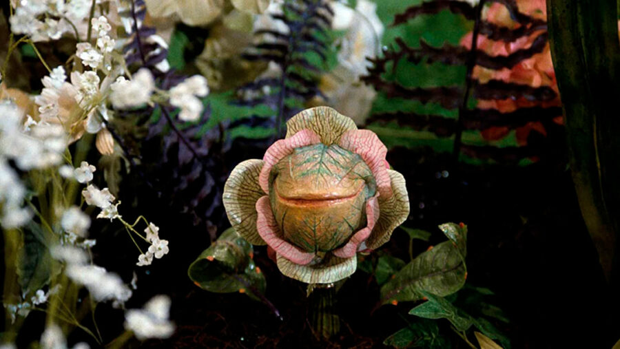 Afficher l'image la-petite-boutique-des-horreurs-03