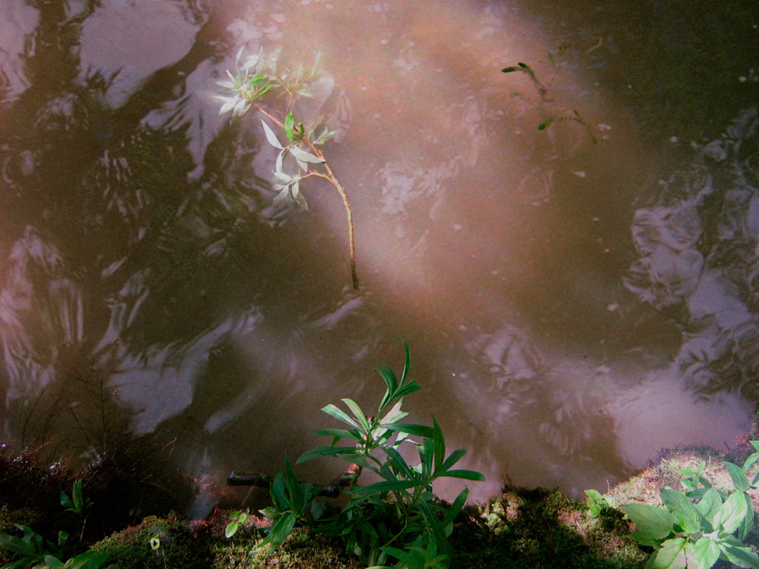 La Respiration de Cristal