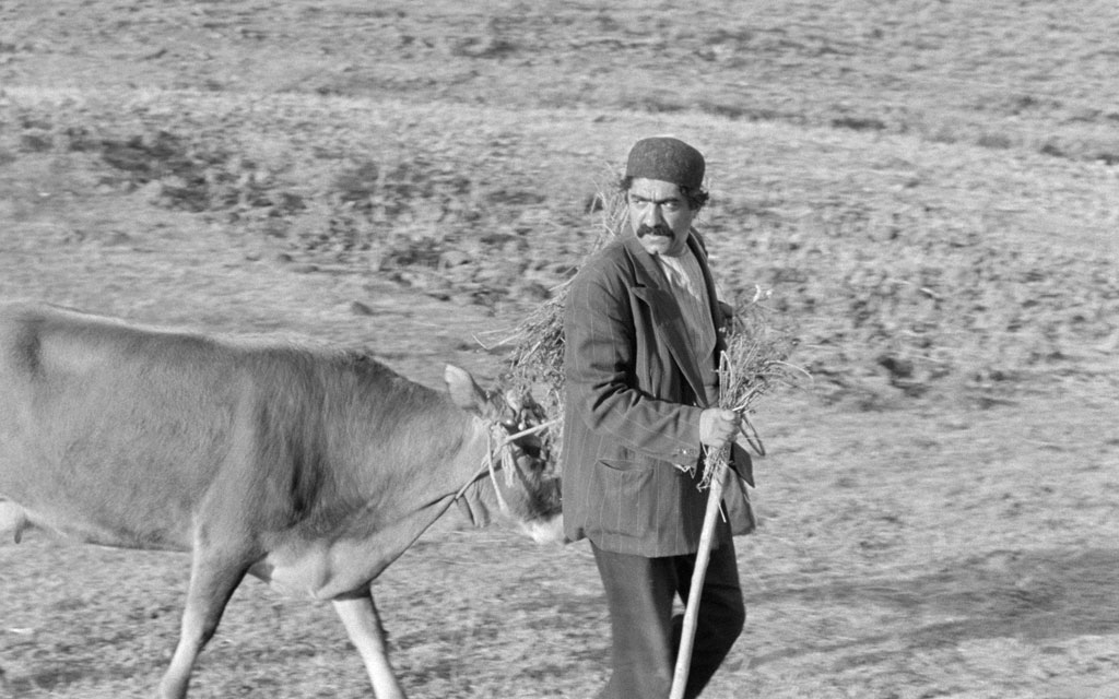 Ezzatollah Entezami  dans La Vache