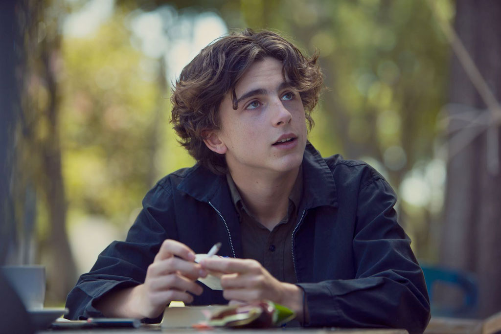 Timothée Chalamet  dans Lady Bird