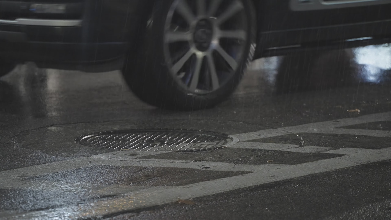 dans Le Chainon manquant