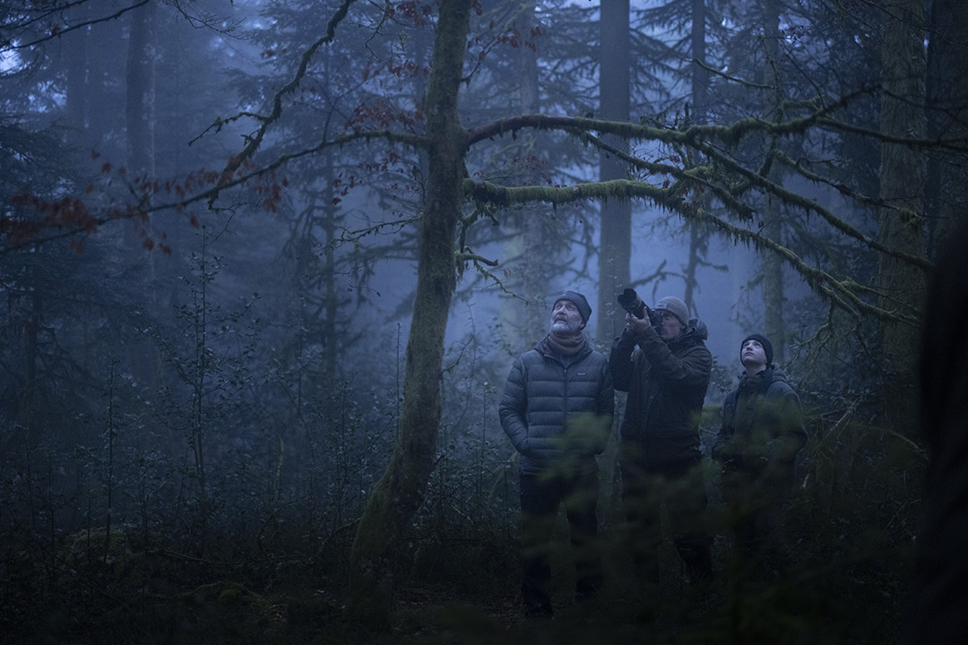 dans Le Chant des forêts
