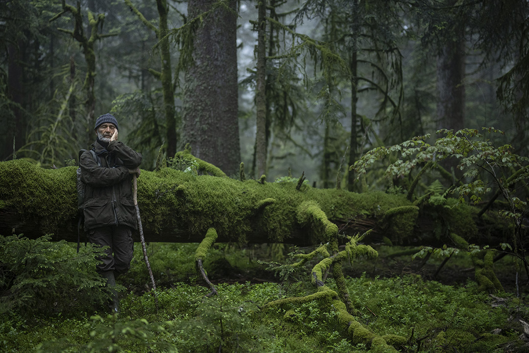 dans Le Chant des forêts