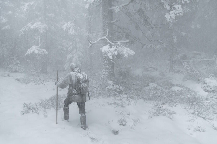 Afficher l'image le-chant-des-forets-07