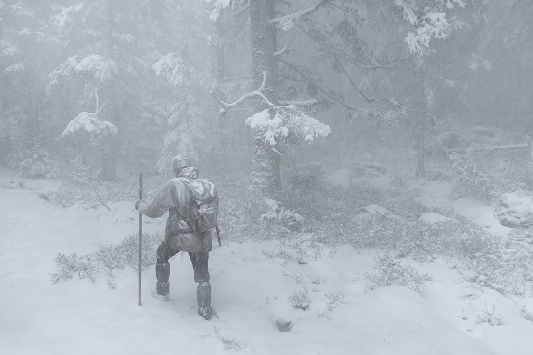 dans Le Chant des forêts