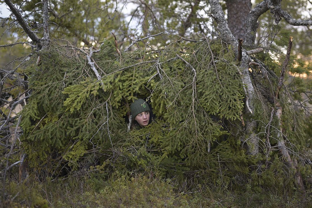 dans Le Chant des forêts