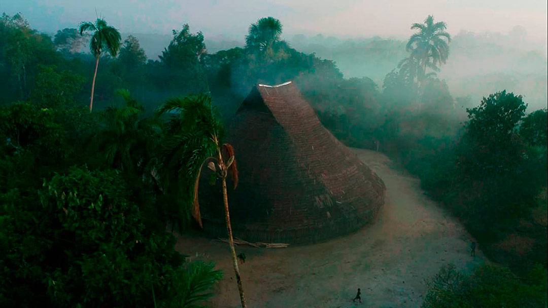 Le Chemin de l'anaconda