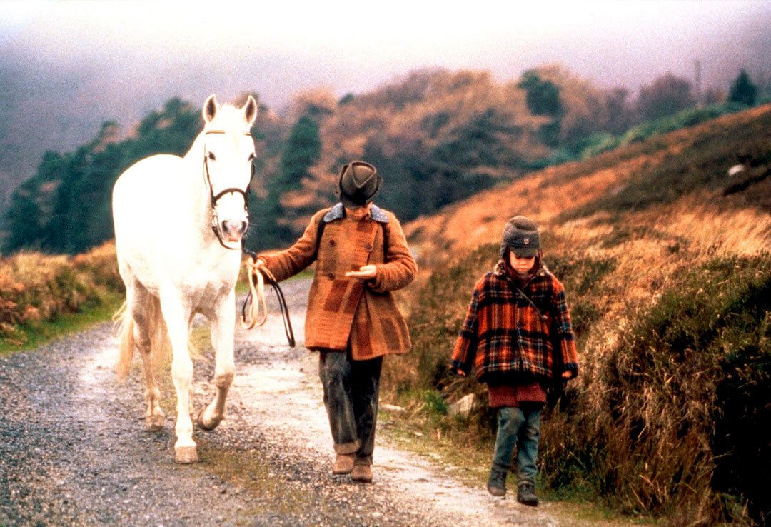 Ruaidhri Conroy, Ciaran Fitzgerald dans Le Cheval venu de la mer