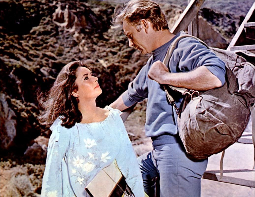 Elizabeth Taylor, Richard Burton