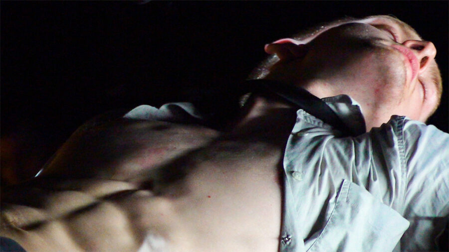 Afficher l'image le-coeur-du-taureau-01