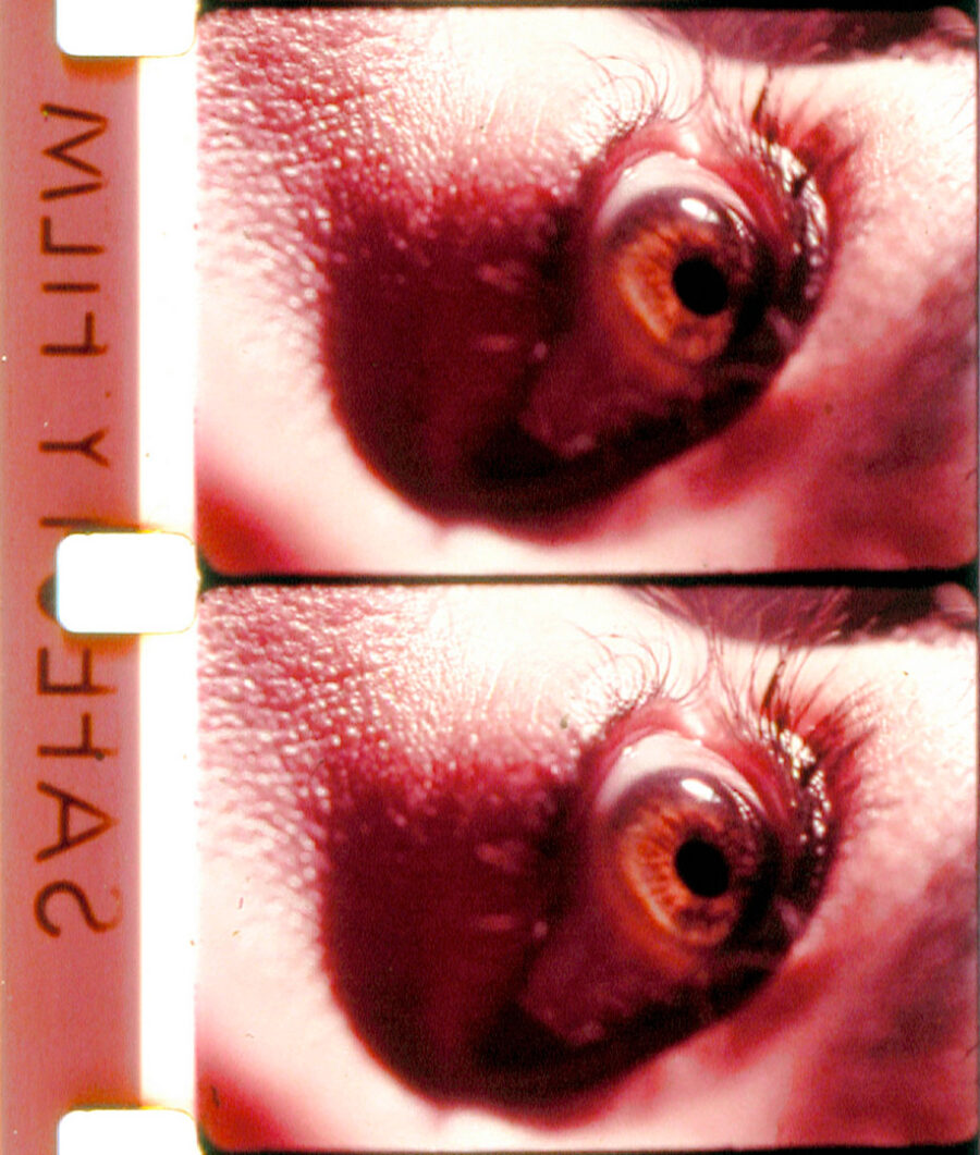 Afficher l'image le-cri-nu