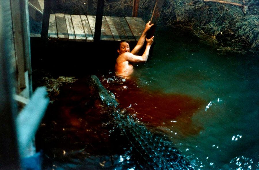 Afficher l'image Robert Englund