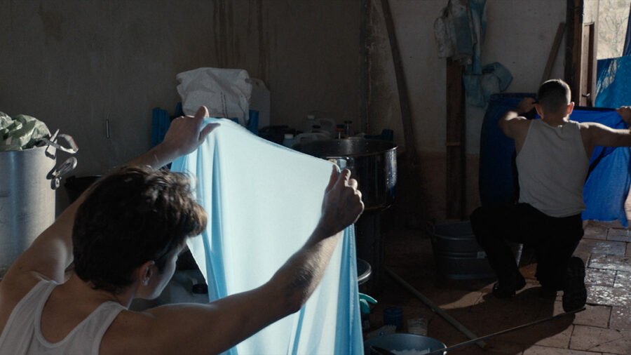 Afficher l'image le-drap-bleu