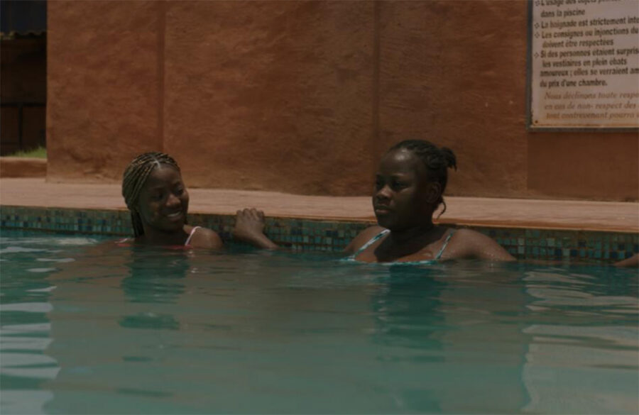 Afficher l'image le-grand-calao