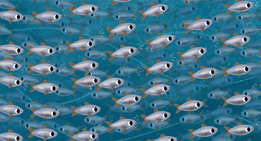 Afficher l'image le-hareng