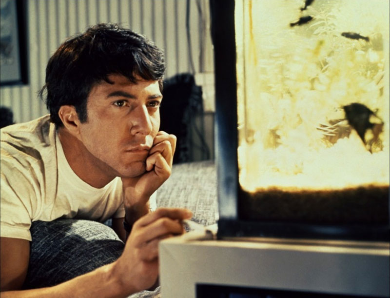 Dustin Hoffman dans Le Lauréat