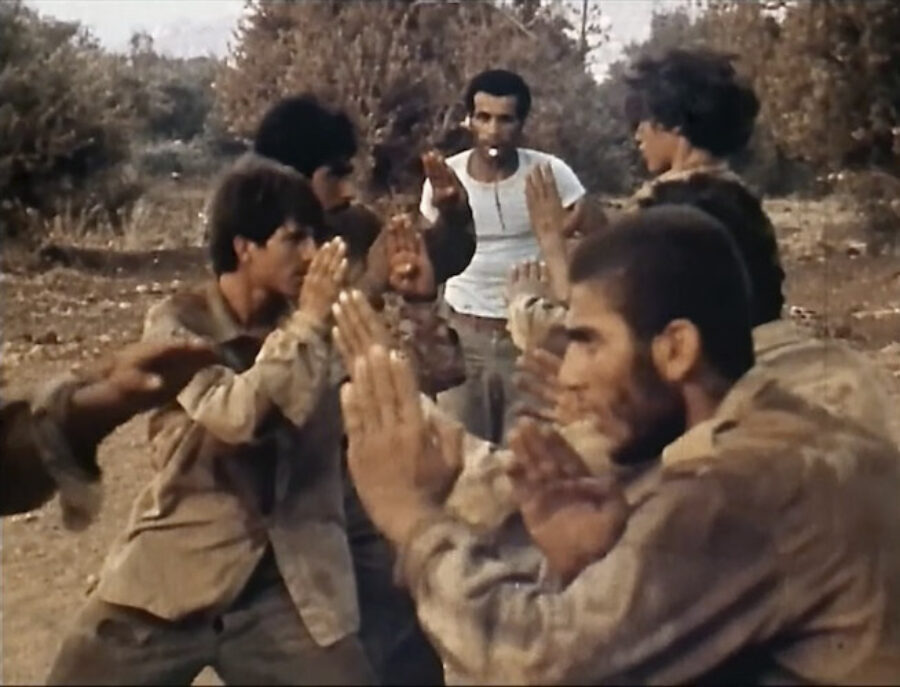 Afficher l'image le-liban-dans-la-tourmente