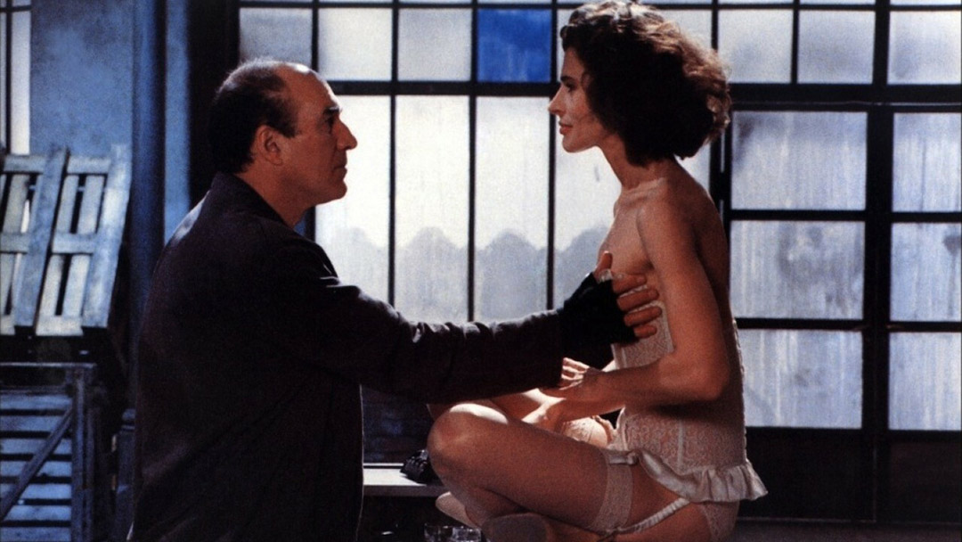 Michel Piccoli, Fanny Ardant dans Le Paltoquet