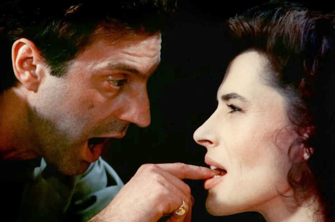 Daniel Auteuil, Fanny Ardant dans Le Paltoquet