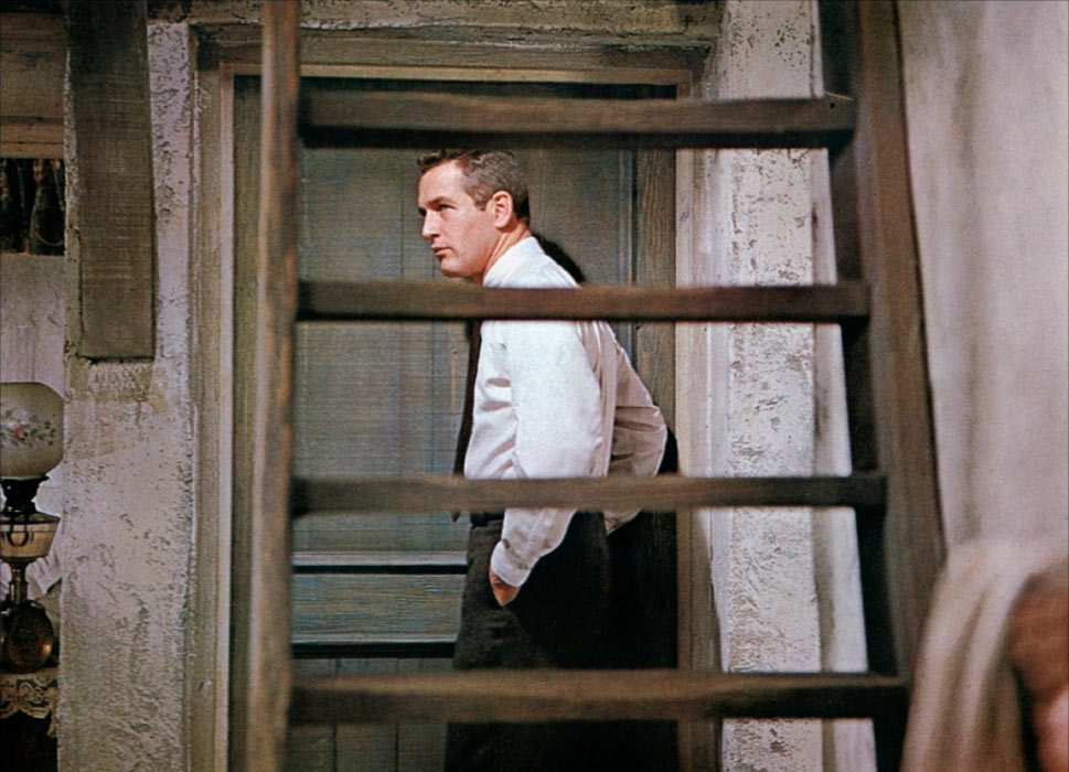 Paul Newman dans le rideau déchiré