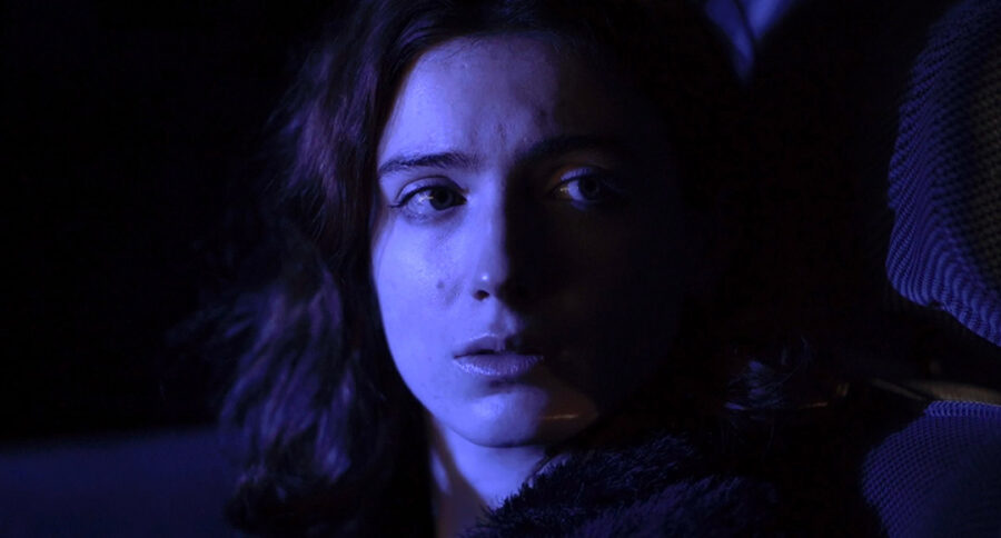 Afficher l'image le-rivage-de-lile