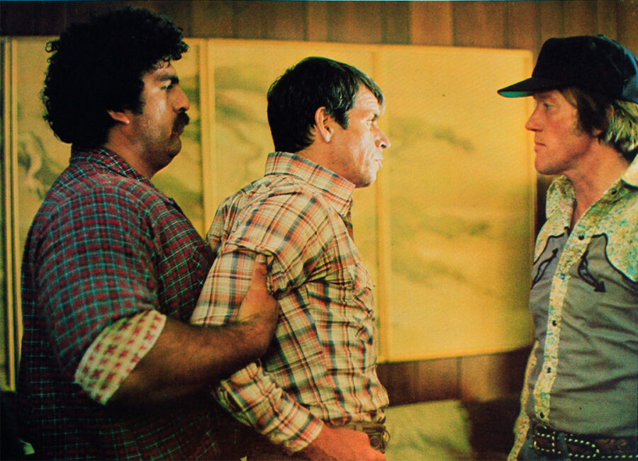 Afficher l'image Luke Askew, William Devane