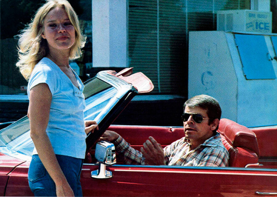 Afficher l'image Linda Haynes, William Devane