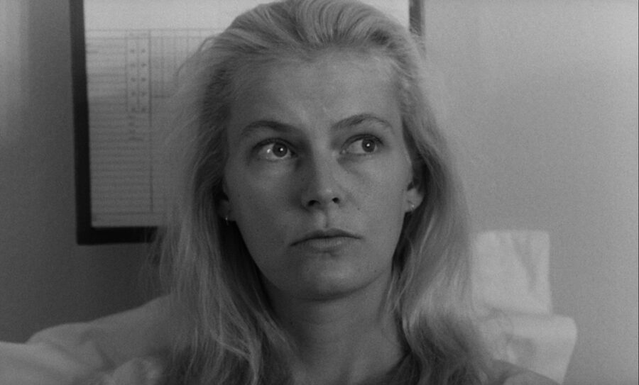 Afficher l'image Gio Petré