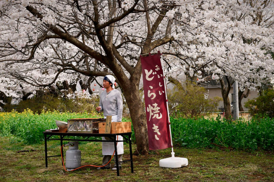 Afficher l'image Masatoshi Nagase