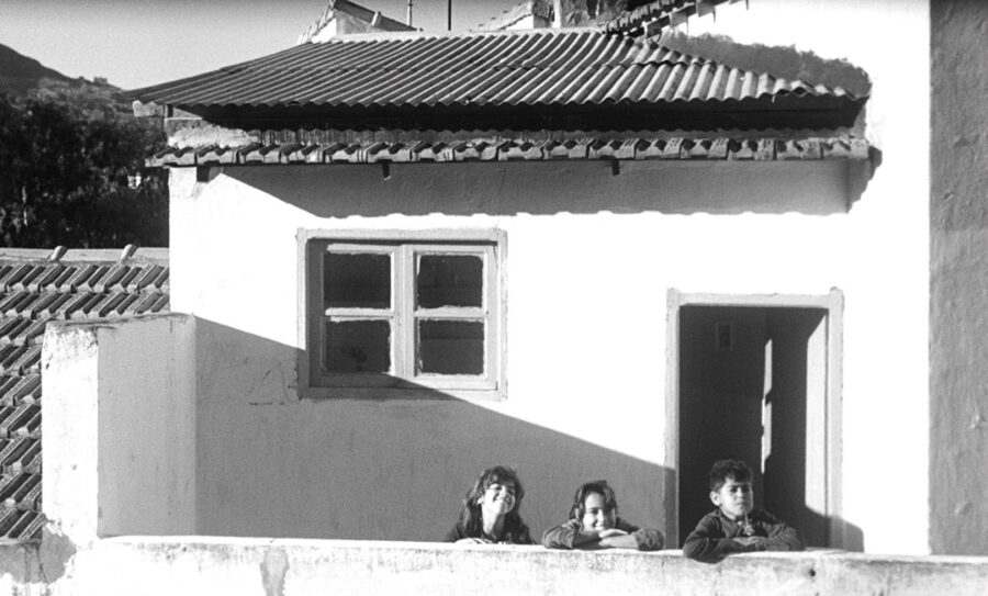 Afficher l'image les-oliviers-de-la-justice-05