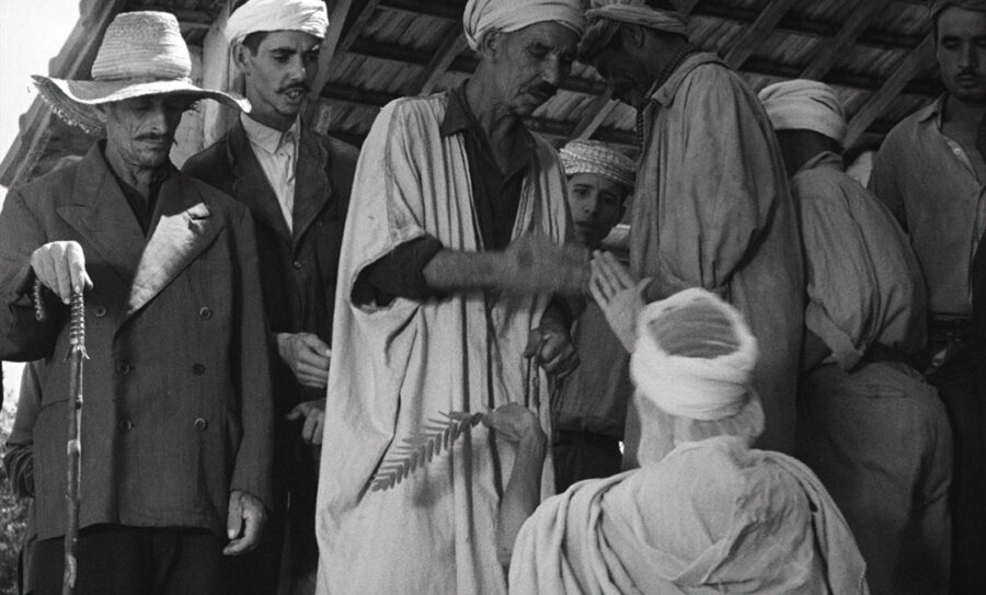 Afficher l'image les-oliviers-de-la-justice-10