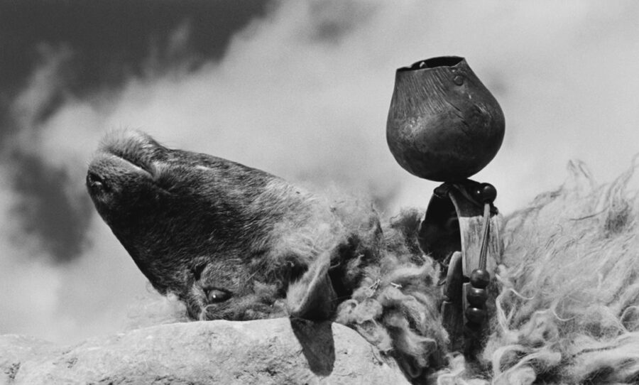 Afficher l'image les-patres-du-desordre-06