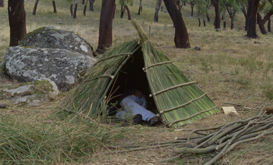 Afficher l'image les-saisons-01