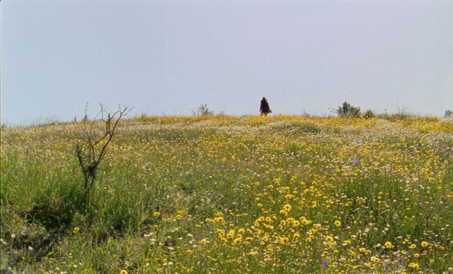 Afficher l'image les-saisons-03