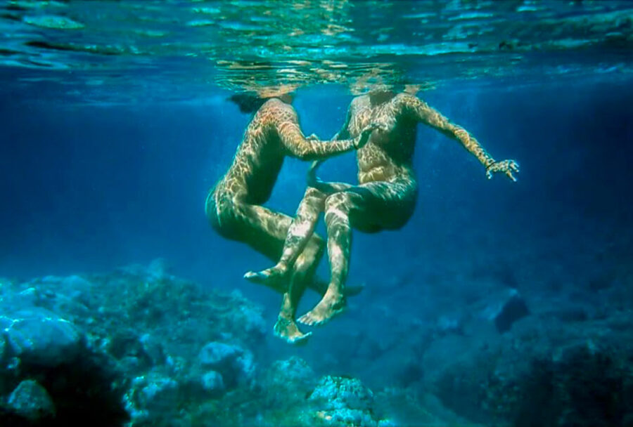 Afficher l'image lesvia-01