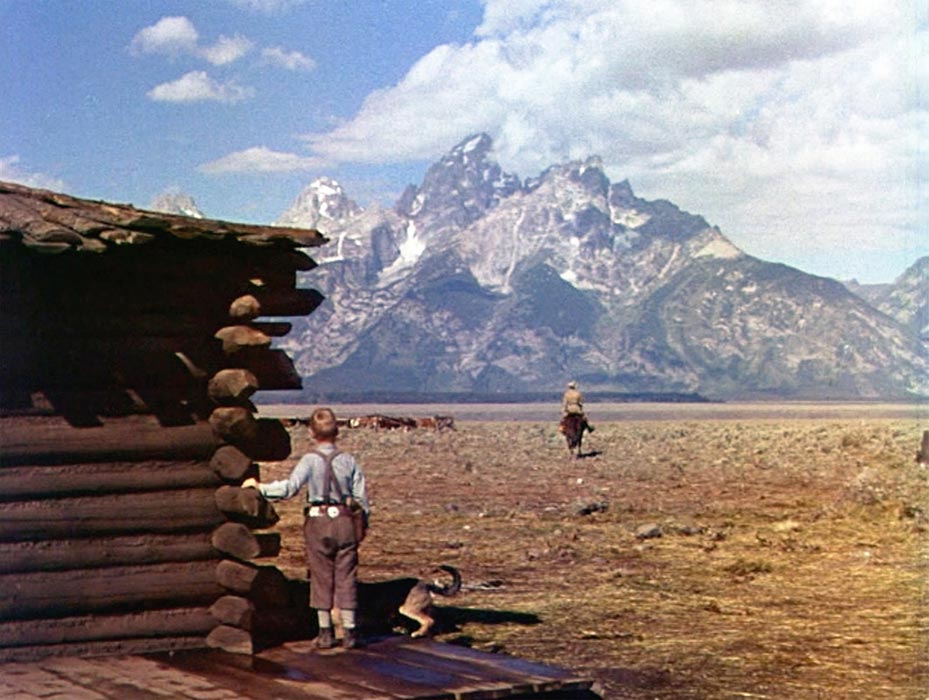 Alan Ladd dans L'Homme des vallées perdues