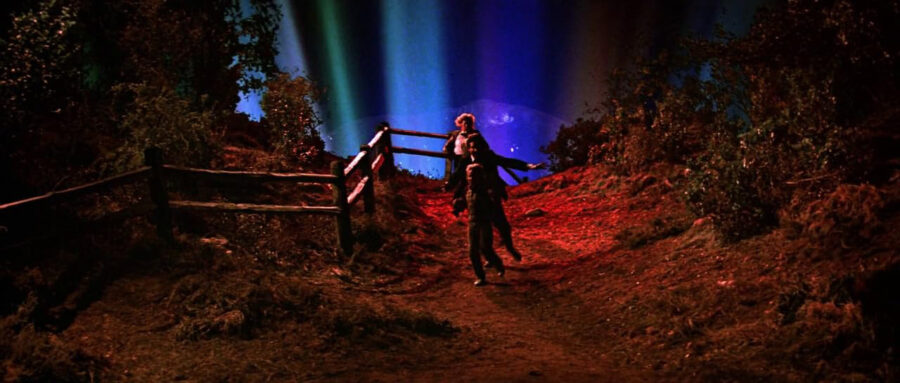 Afficher l'image Timothy Bottoms, Hunter Carson, Laraine Newman