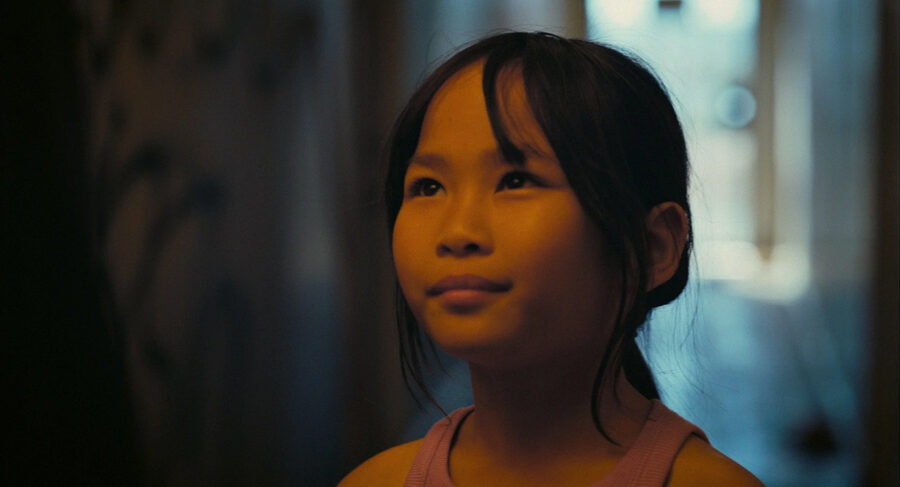 Afficher l'image little-bird