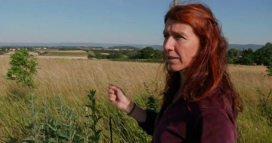 Afficher l'image lusage-du-monde-01