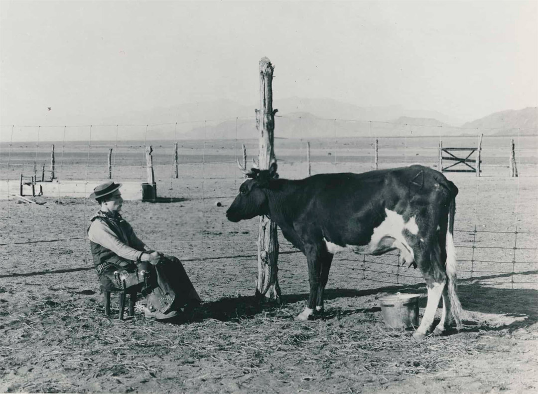 Buster Keaton dans Ma Vache et moi