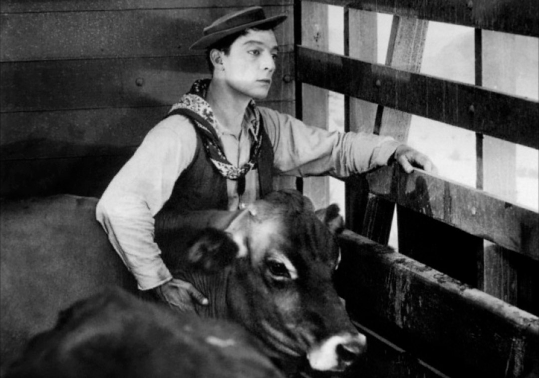 Buster Keaton dans Ma Vache et moi