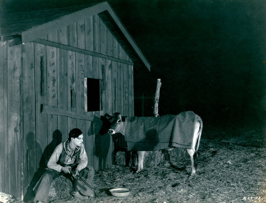Buster Keaton dans Ma Vache et moi