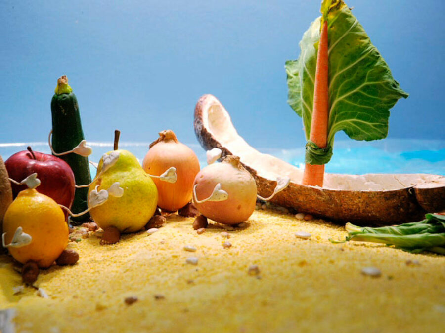 Afficher l'image maison-sucree-jardin-sale-02