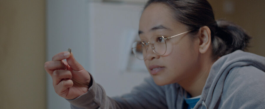 Afficher l'image Zar Donato