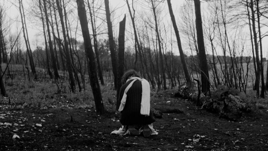 Afficher l'image masca