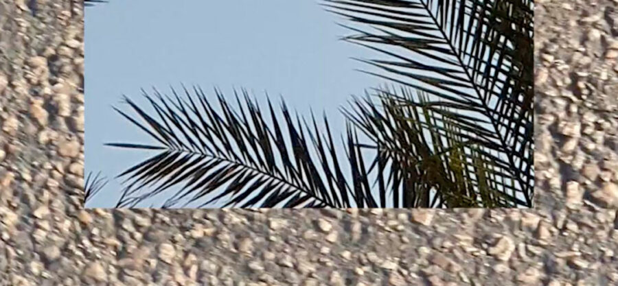 Afficher l'image masterclass