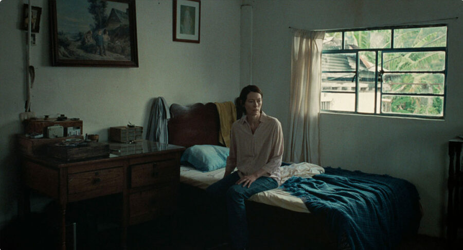 Afficher l'image Tilda Swinton